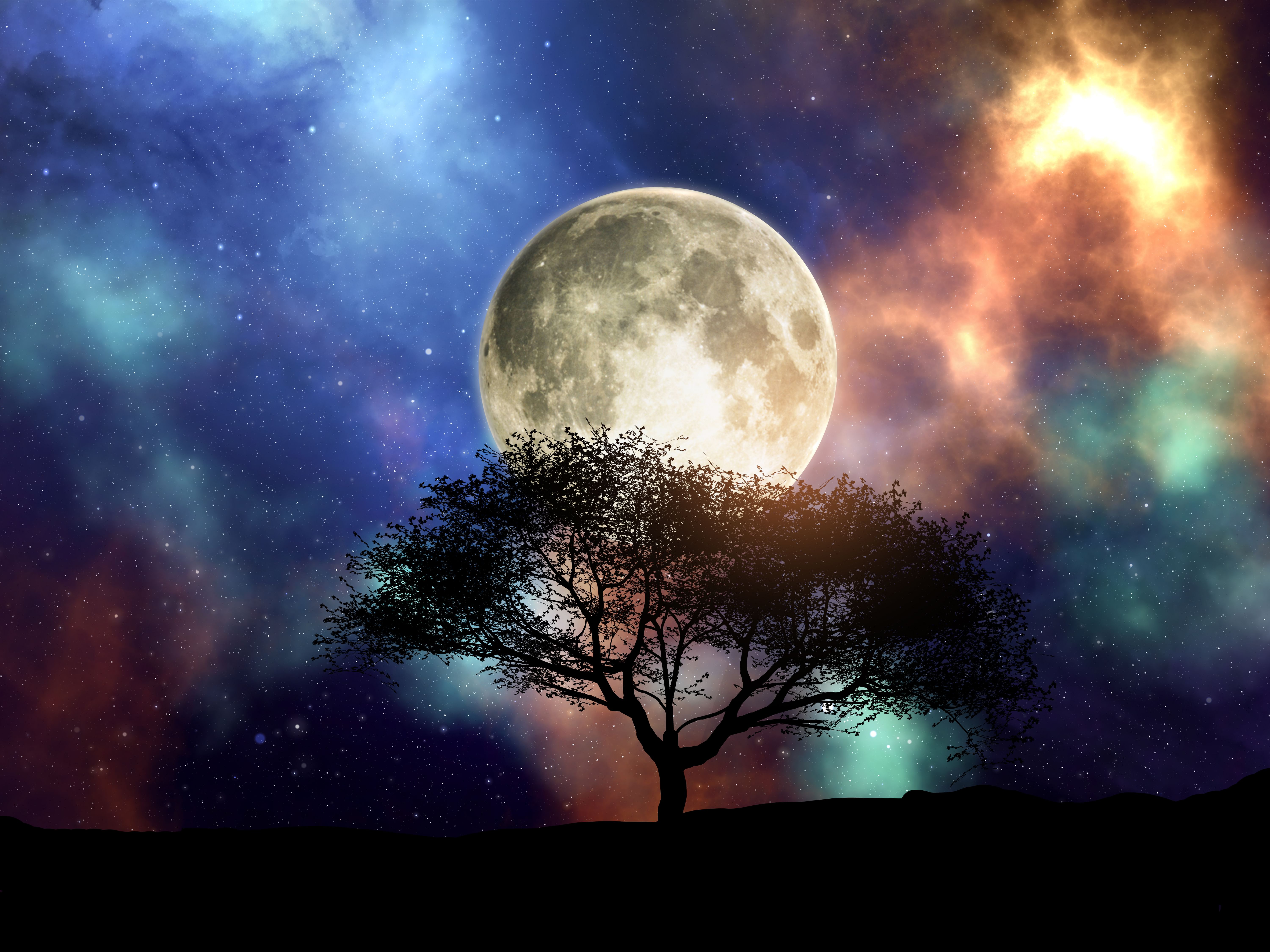 Sync With The Moon